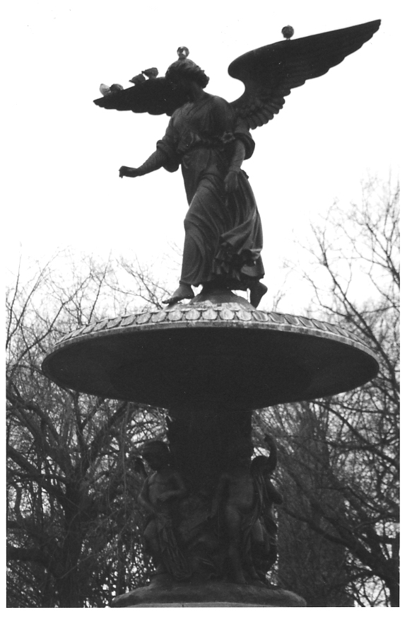 Central Park - Fountain