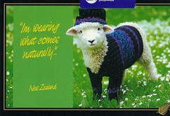 postcard from Sara in NZ