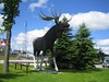 Giant moose redux