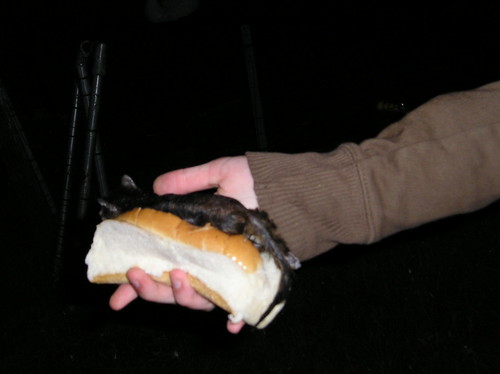 Sarah holding a dead squirrel in a hotdog roll
