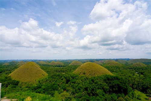 The grand Chocolate Hills of Bohol.