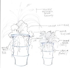 Drawing idea for Container Plantings