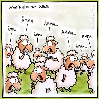 unentschlossene Schafe