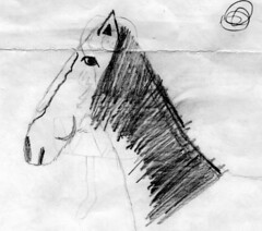 horse head detail