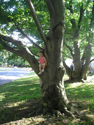 Princess in a tree II