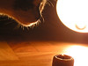 Cat & Candle